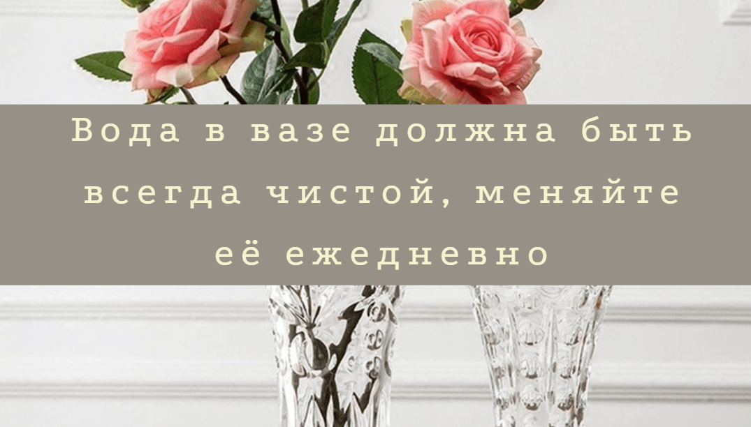 Как ухаживать за цветами ч2